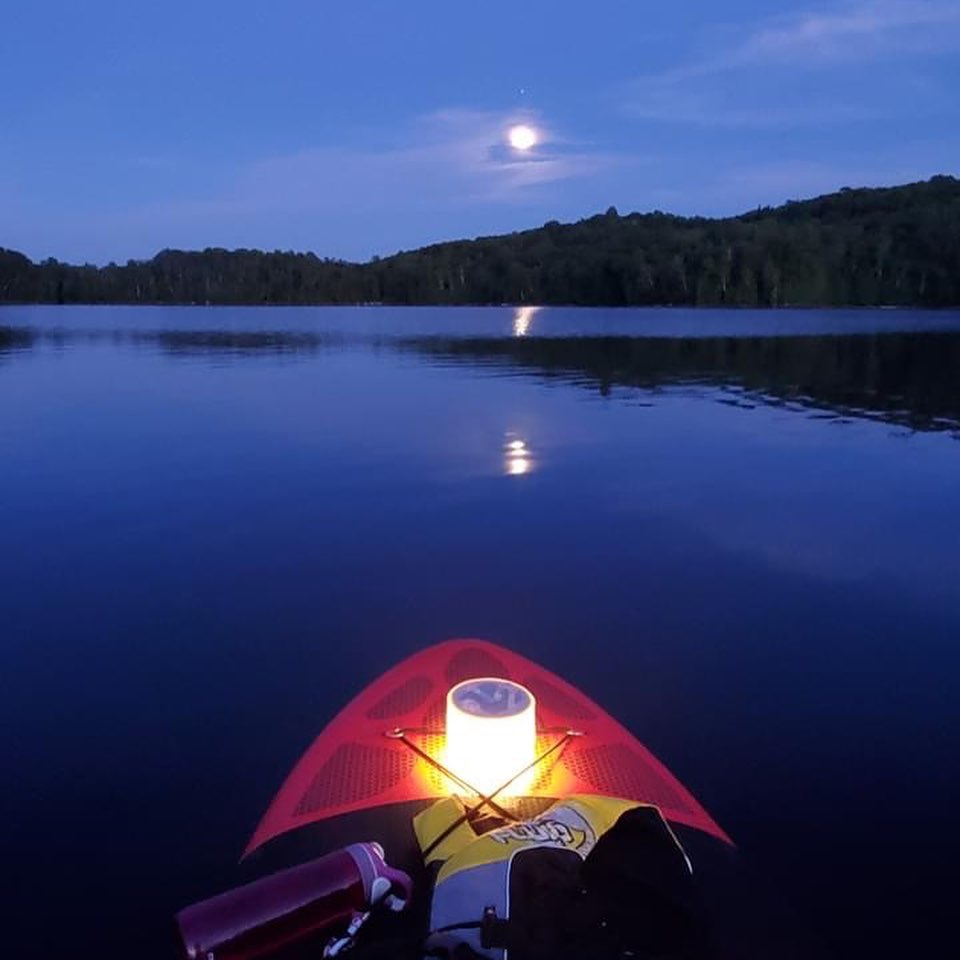 Société protection du Lac Boisseau | 2996 Chemin des Chênes E, La Conception, QC J0T 1M0, Canada | Phone: (819) 430-8169
