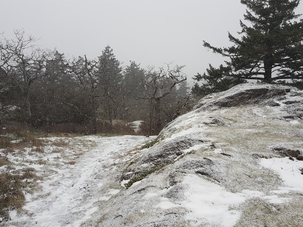 Christmas Hill | 3873 Swan Lake Road, Victoria, Saanich, BC V8X 3W1, Canada | Phone: (250) 479-0211