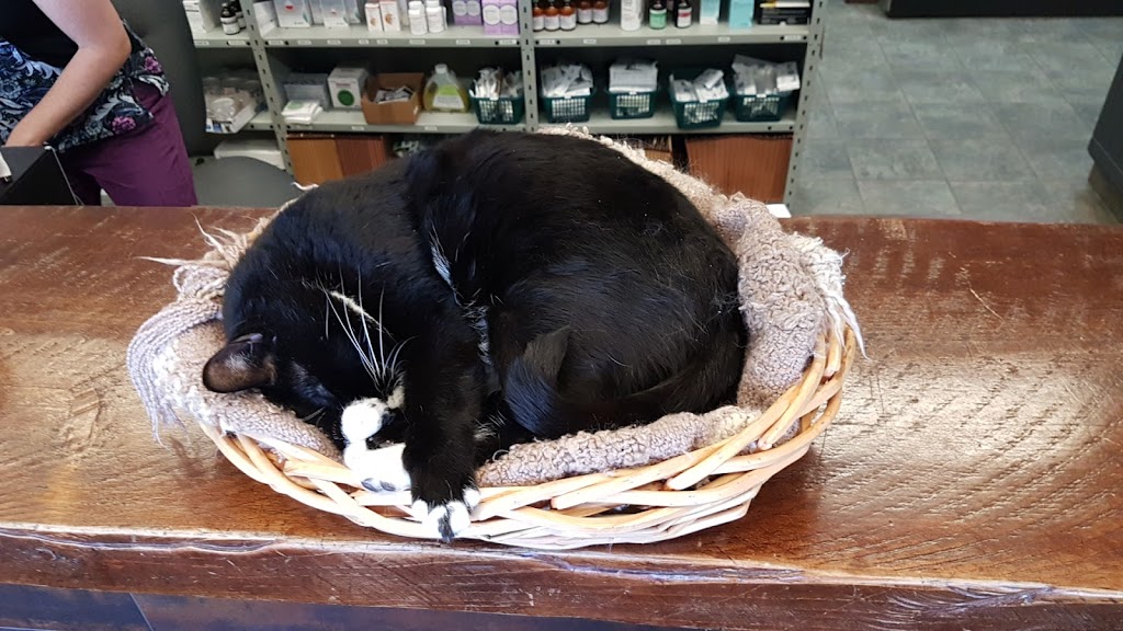 Clearwater Vet Clinic | 5214 44 St, Rocky Mountain House, AB T4T 1B4, Canada | Phone: (403) 845-5353