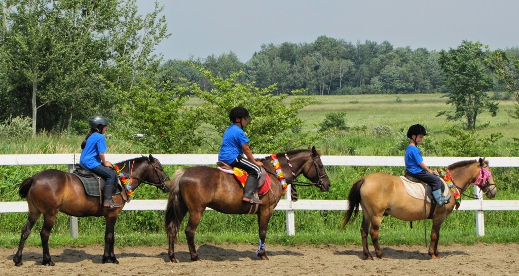 Cheval Défi | 4197 Chemin Notre Dame, Saint-Augustin-de-Desmaures, QC G3A 1W8, Canada | Phone: (418) 878-5522