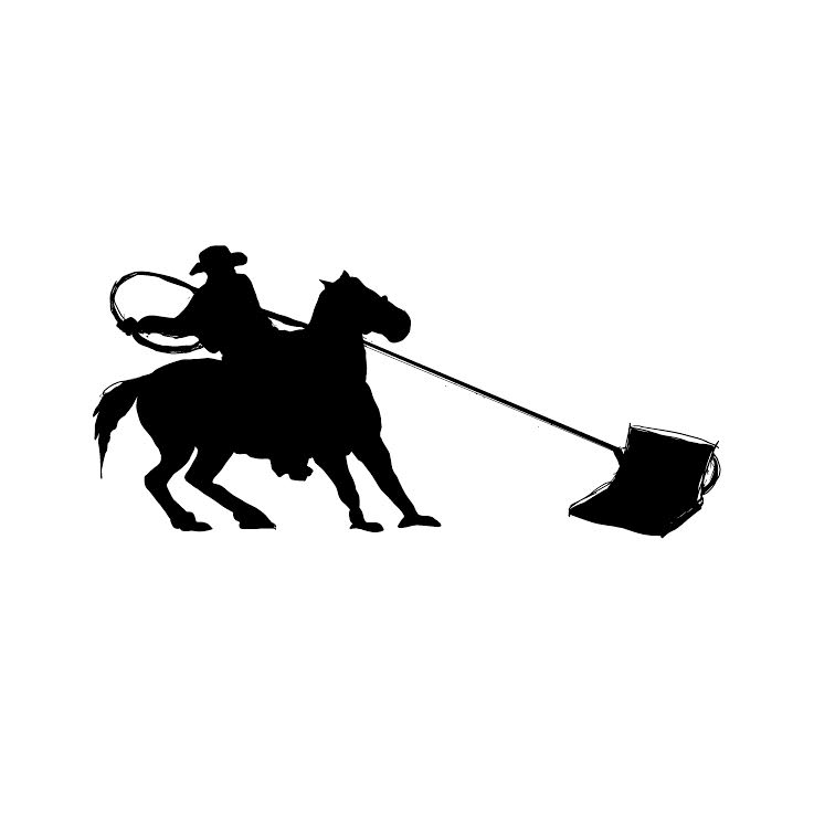 Wild Horse Computer Repair | 345012 Range Road 55, box 193, Caroline, AB T0M 0M0, Canada | Phone: (403) 586-1581