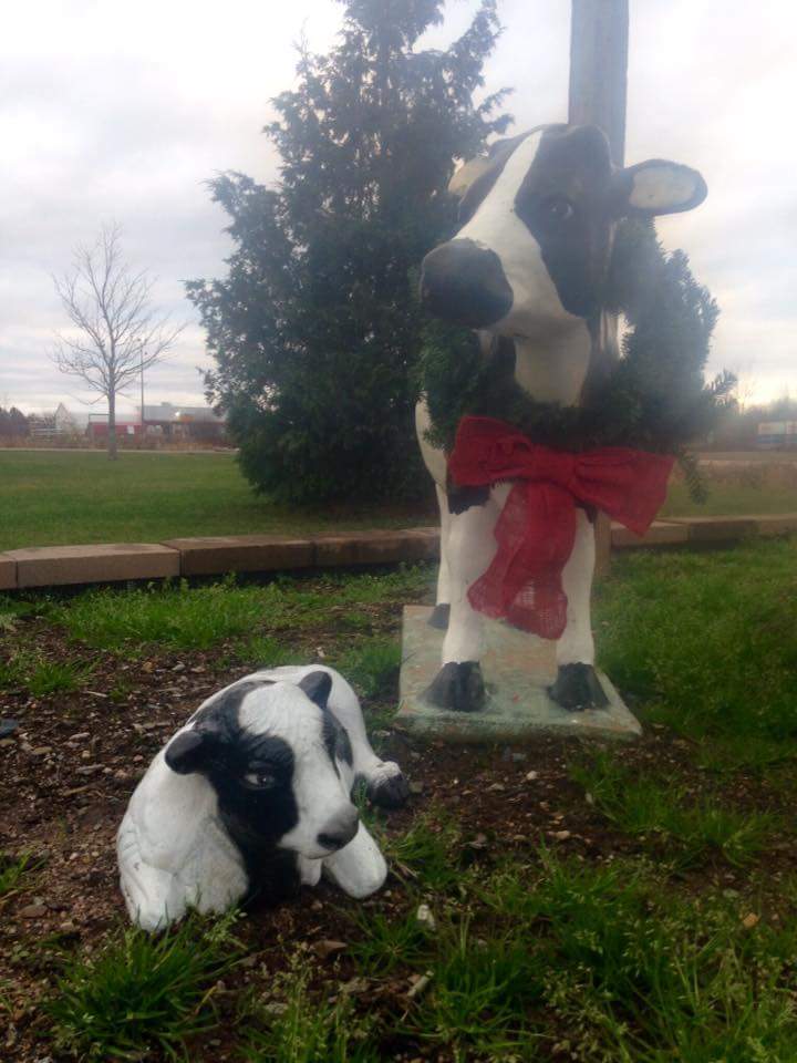 Middleton Veterinary Svc | 1163 Brooklyn Rd, Middleton, NS B0S 1P0, Canada | Phone: (902) 825-3459