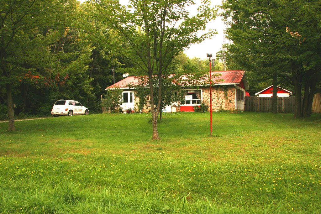 Amis-poils/Amibouff | 1193 Montée de la Rivière, Acton Vale, QC J0H 1A0, Canada | Phone: (450) 549-3633