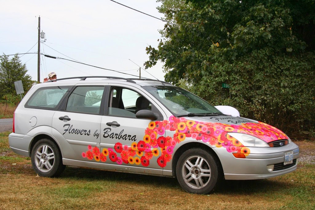 Miraculous Signs | 190 Scotts Mill Rd, Milford, ON K0K 2P0, Canada | Phone: (613) 476-5174