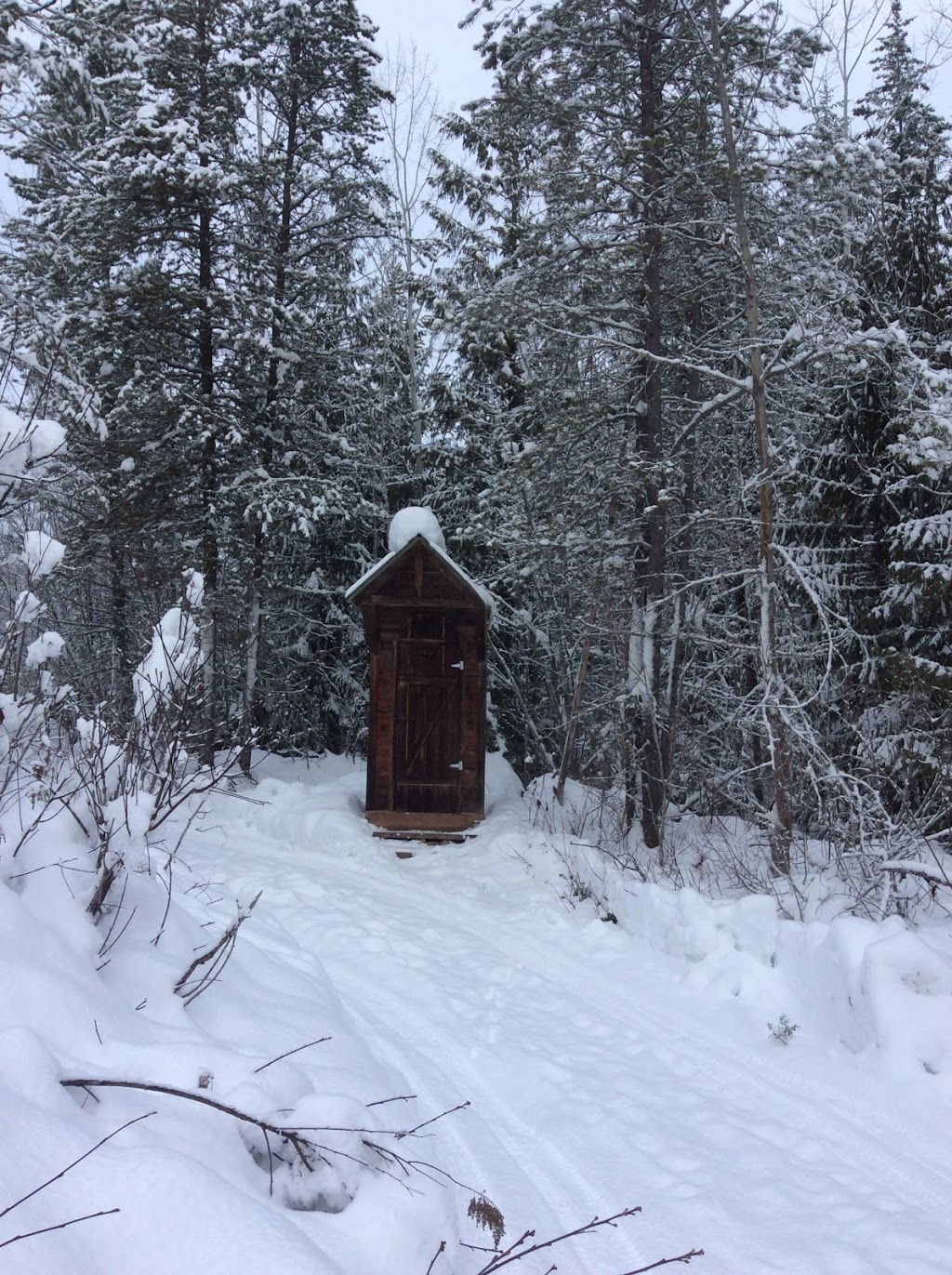 Lavender House | 168 Larch Hills Forest service Rd, Mara, BC V0E 2K0, Canada | Phone: (250) 804-3314