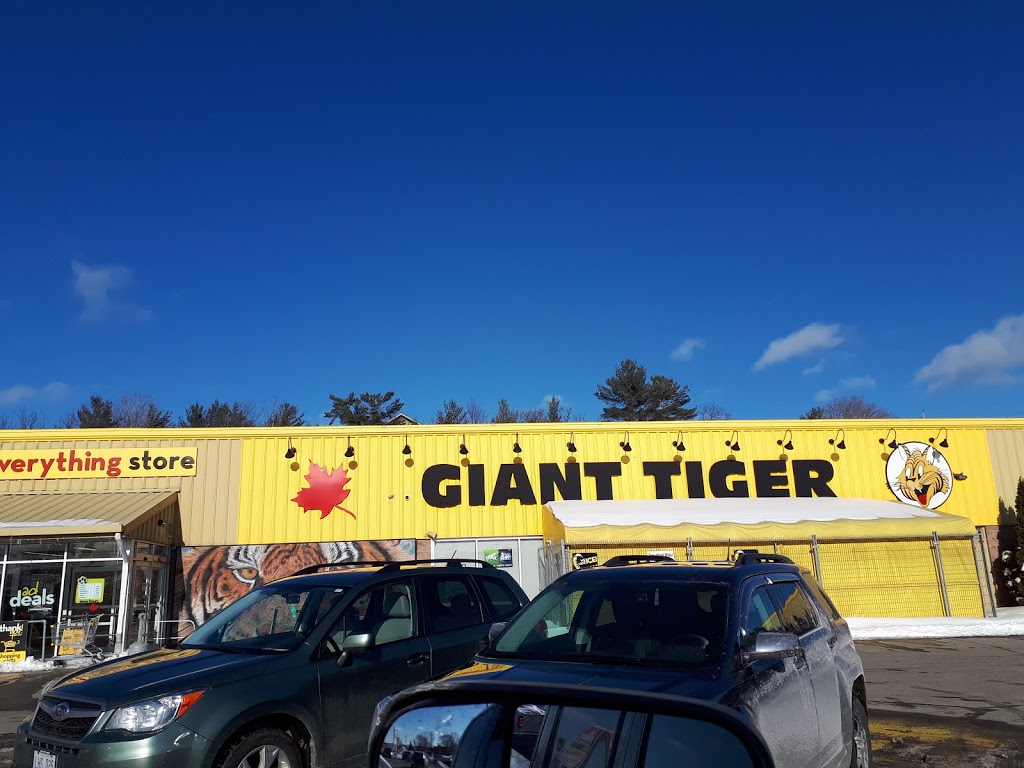 Giant Tiger | 1190 Muskoka Rd S, Gravenhurst, ON P1P 1K9, Canada | Phone: (705) 684-9751