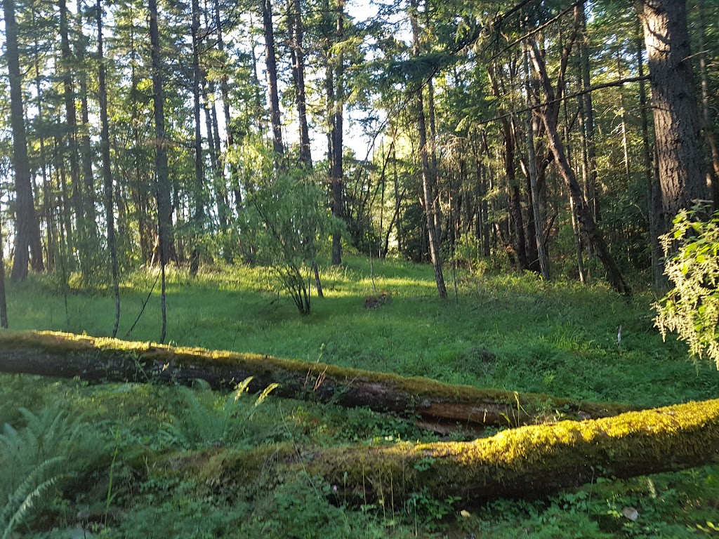 Richards Marsh Park | 1921 Kells Bay, Nanaimo, BC V9X 1H1, Canada | Phone: (250) 756-5200