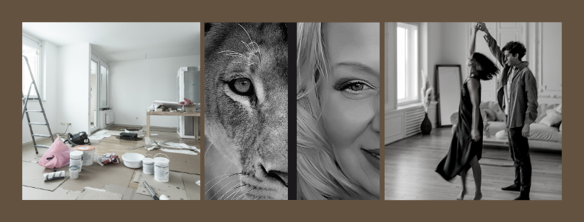 Lioness Interiors | 10870 Harvest Lake Way NE, Calgary, AB T3K 4L1, Canada | Phone: (403) 999-1381