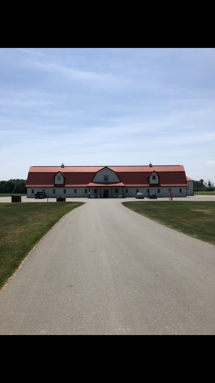 Greenhorizons Sod Farms - Middlesex Sod | 4227 Dundas St &, County Rd 32, London, ON N5V 5C6, Canada | Phone: (519) 268-7518