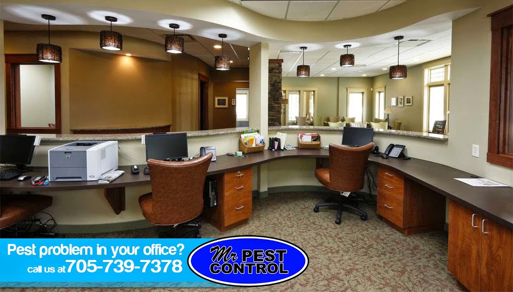 Mr Pest Control | 6 Maplehill Dr, Shanty Bay, ON L0L 2L0, Canada | Phone: (705) 739-7378