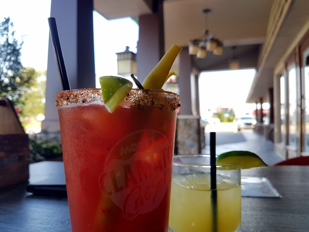 M.T. Bellies | 871 Niagara St, Welland, ON L3C 1M4, Canada | Phone: (905) 788-9474