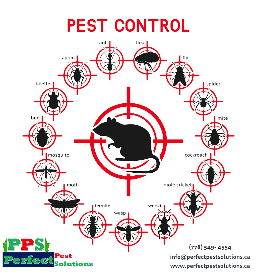 Perfect Pest Solutions | home goods store | 1925 Dorset Ave, Port Coquitlam, BC V3B 2A5, Canada | 7785494554 OR +1 778-549-4554