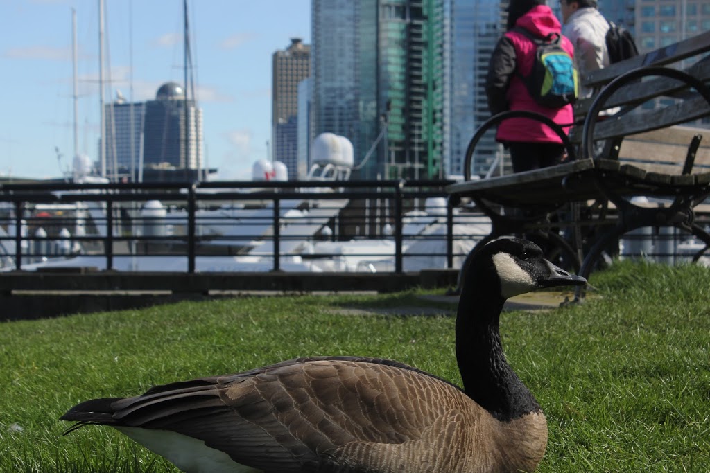 Best Vancouver Tours | 3-512 Sharpe St, New Westminster, BC V3M 4R2, Canada | Phone: (604) 229-1626