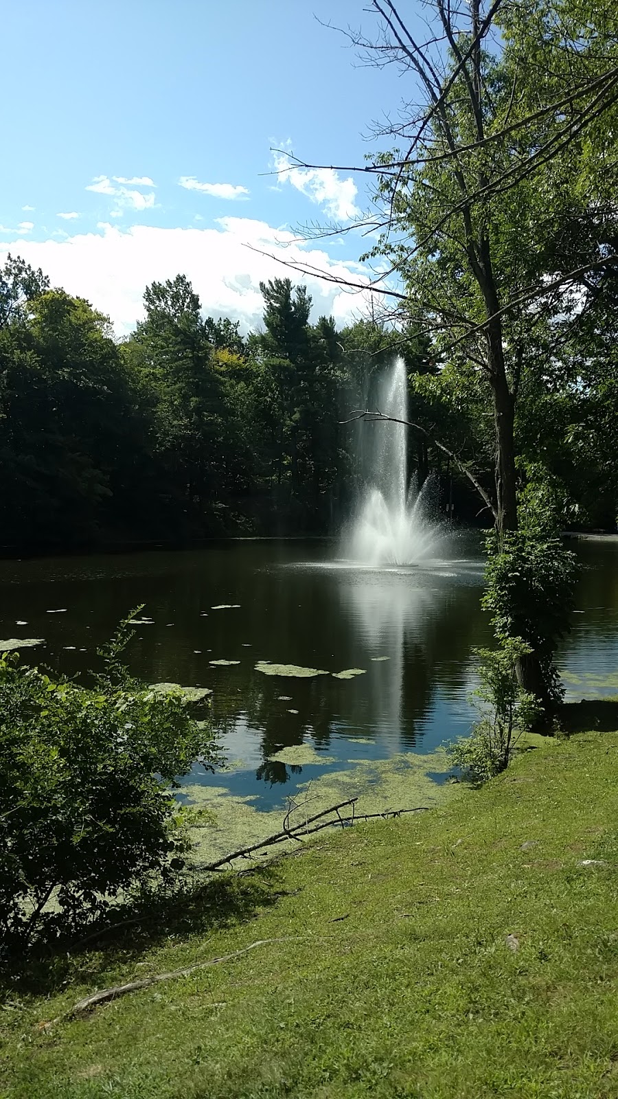 Main Street Town Park | 10405 Main St, Clarence, NY 14031, USA | Phone: (716) 741-8927