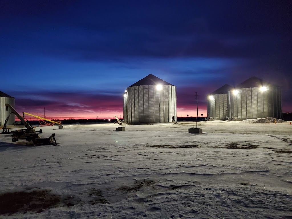 Red River Grain Co. | 4019 NW 9 Avenue, Altona, MB R0G 0B1, Canada | Phone: (204) 216-1006