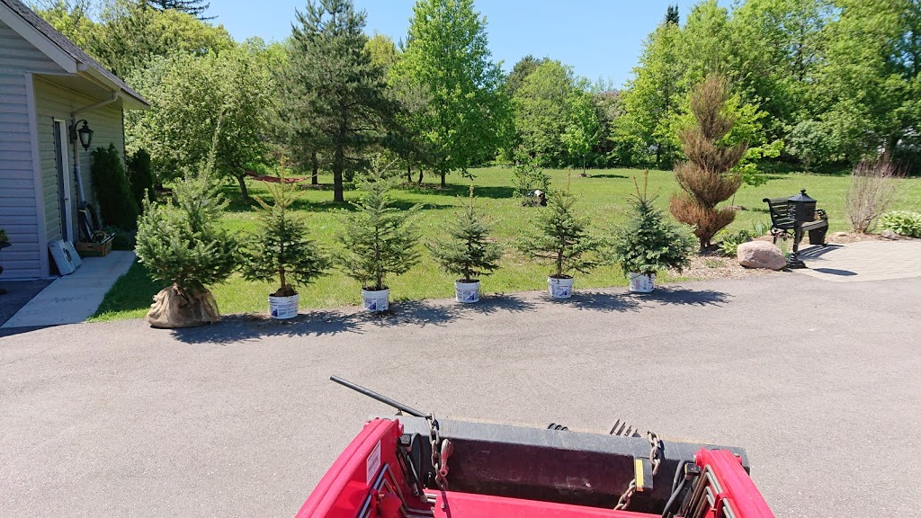 Green Acres Tree and Solar Farm | 1651 4 Line N, Shanty Bay, ON L0L 2L0, Canada | Phone: (705) 812-0741