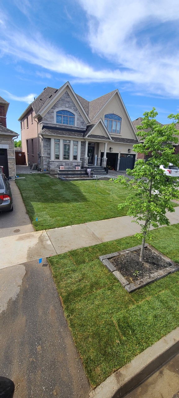 GTA Kentucky Sodding | 14 Beaconsfield Dr, Vaughan, ON L4H 4L5, Canada | Phone: (647) 394-6396