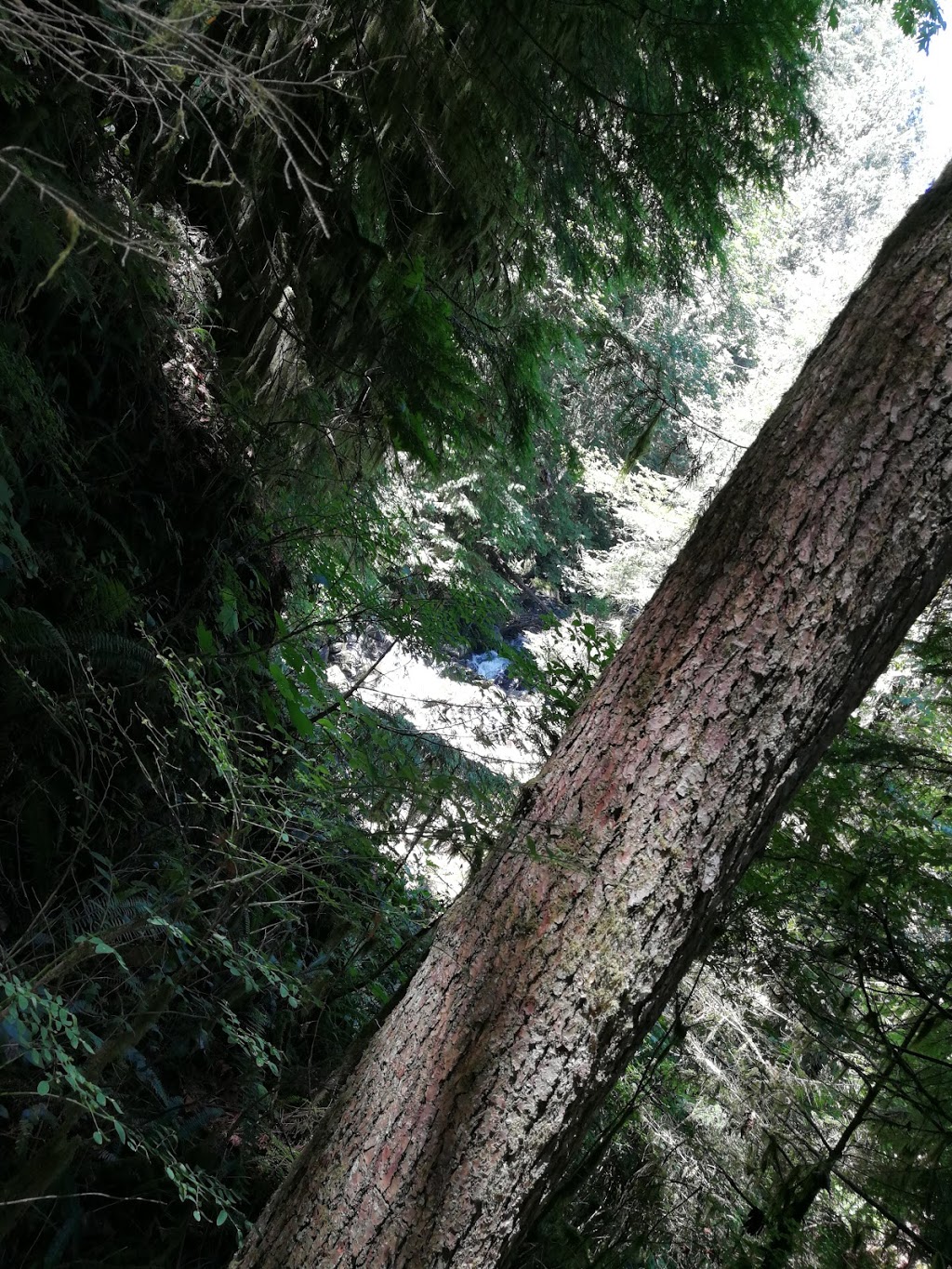 Triple Creek Estates | 10221 Wilson St, Mission, BC V4S 1M1, Canada | Phone: (604) 462-9118