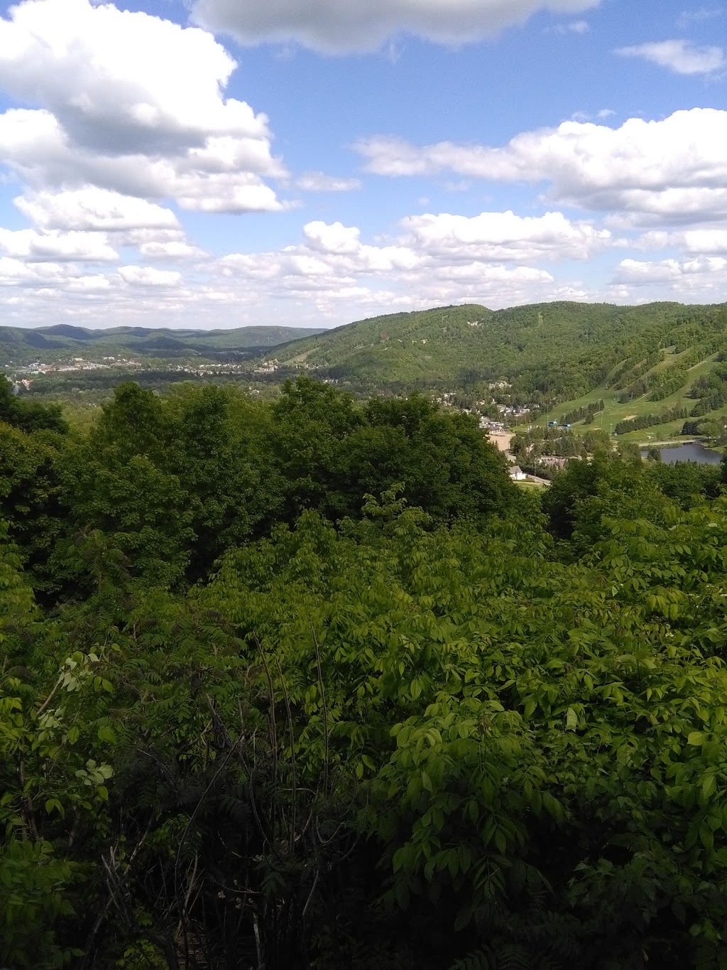Habitations des Monts | 700 Chemin des Habitations-des-Monts, Saint-Sauveur, QC J0R 1R3, Canada | Phone: (450) 227-3913