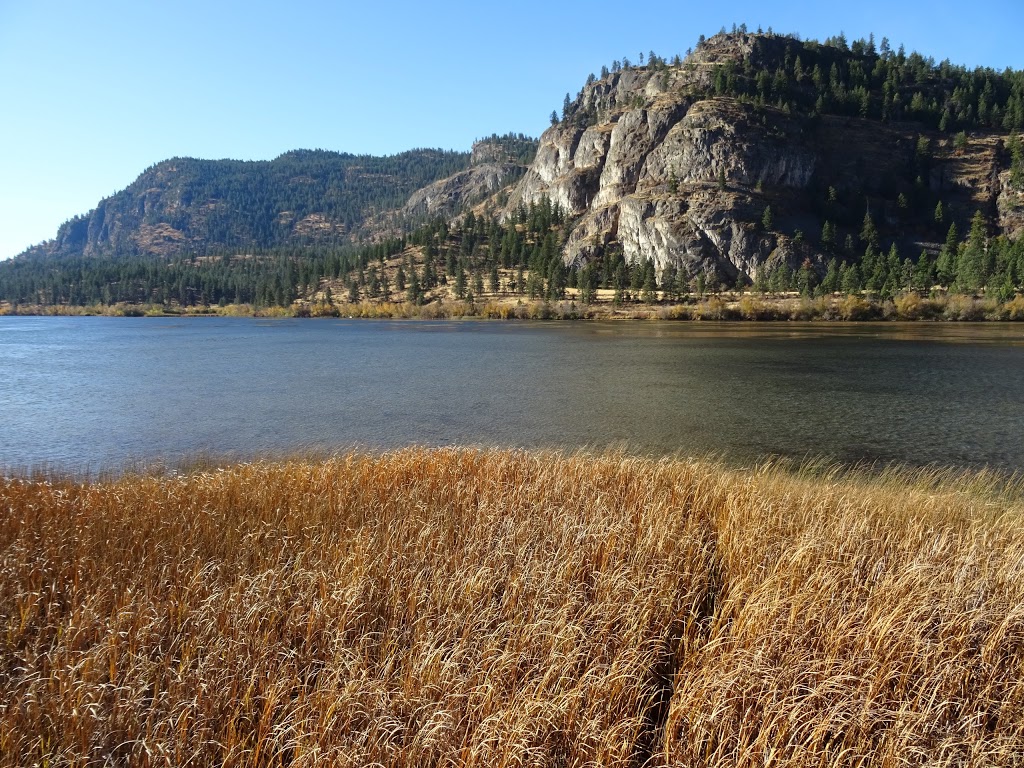Vaseux Lake Bird Observatory | 1R0, BC-97, Okanagan Falls, BC V0H 1R0, Canada