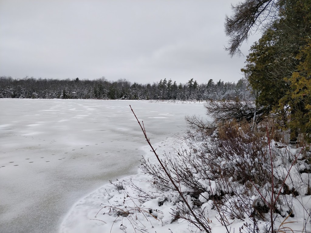 Schmidt Lake Lookout Trail | Schmidt Lake Lookout Trail, Cargill, ON N0G 1J0, Canada | Phone: (519) 367-3040