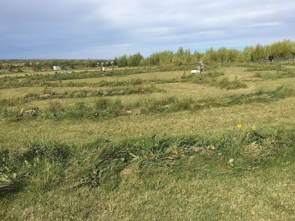 Bowden SunMaze | 34530 Range Rd 14, Bowden, AB T0M 0K0, Canada | Phone: (403) 224-3995