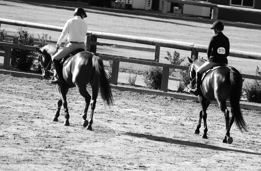 Benchmark Equestrian | 226039 88 St E, De Winton, AB T0L 0X0, Canada | Phone: (403) 397-0680