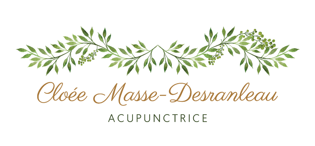 Acupuncture Cloée Masse Desranleau | 4E Avenue de Gaspé E, Saint-Jean-Port-Joli, QC G0R 3G0, Canada | Phone: (418) 803-7116