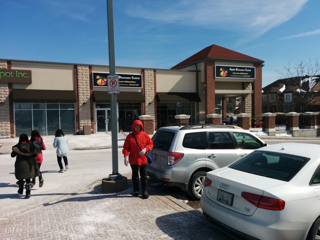 Apple Blossoms Center | 50 Bur Oak Ave, Markham, ON L6C 0A2, Canada | Phone: (905) 888-0900