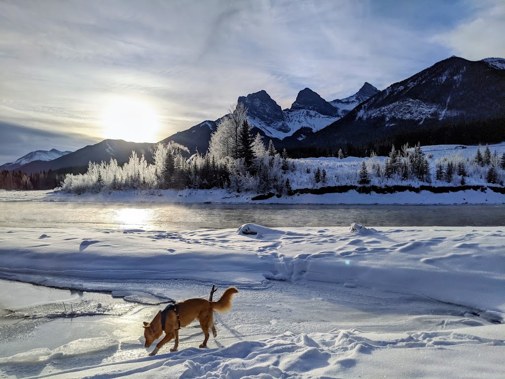 Jessica Stoner Real Estate Team | 1200 Three Sisters Pkwy #102H, Canmore, AB T1W 0M5, Canada | Phone: (403) 678-8006