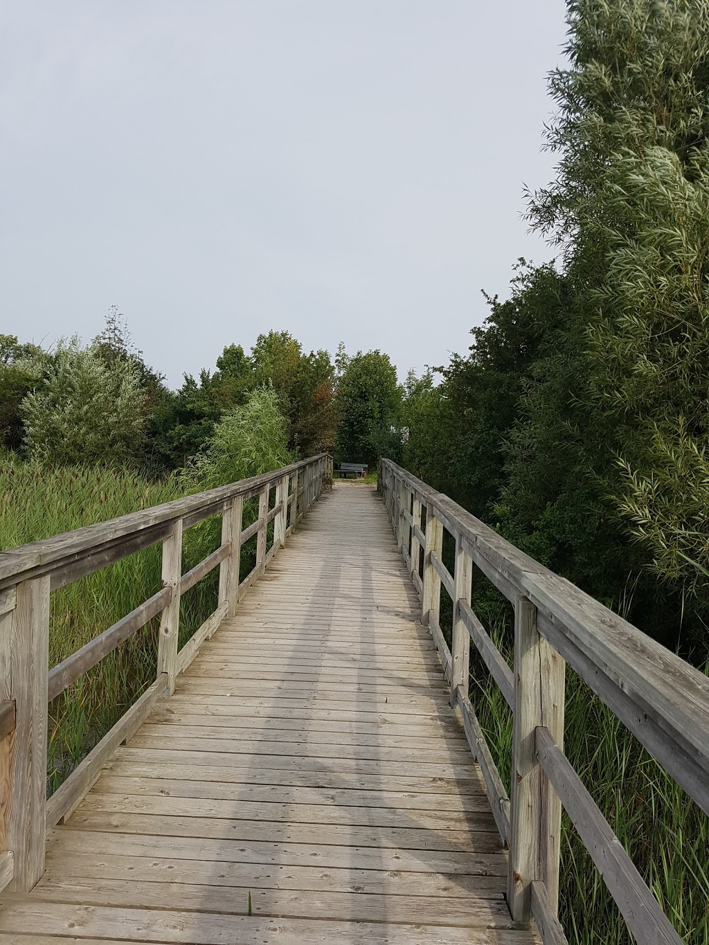 Mel Swart Lake Gibson Conservation Park | Thorold, ON L0S 1A0, Canada