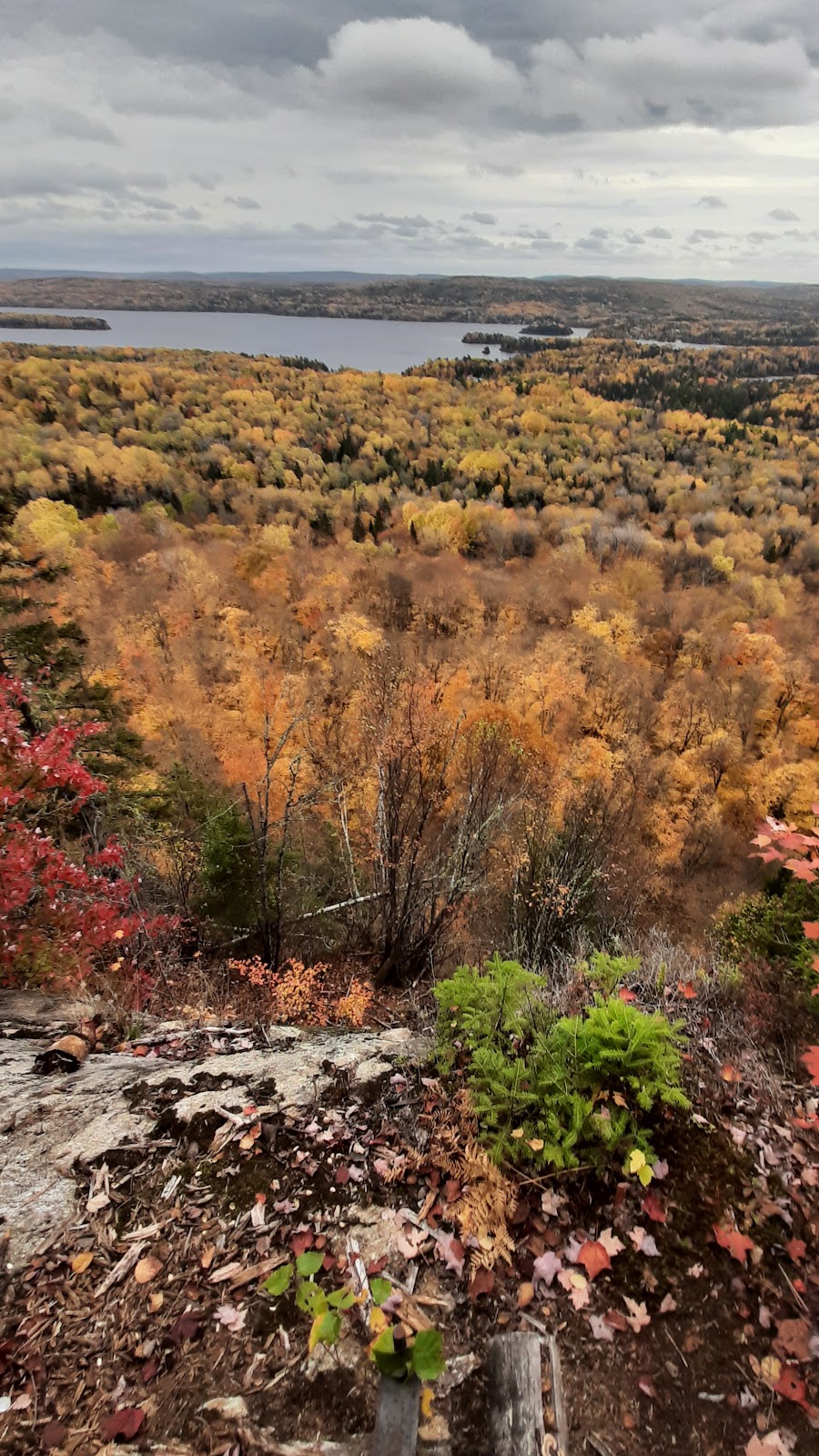 Sentier Du Promontoire Panoramique De La Baie Dominique | 44-210 Chem. Ferland, Saint-Michel-des-Saints, QC J0K 3B0, Canada | Phone: (450) 751-4219
