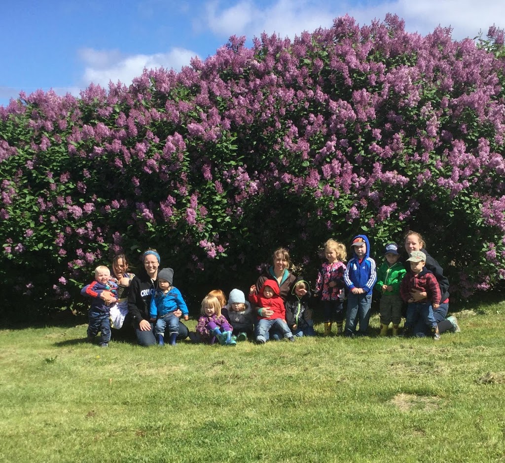 Elgin & District Cooperative Nursery School | 77 Main St, Elgin, ON K0G 1E0, Canada | Phone: (613) 359-6611