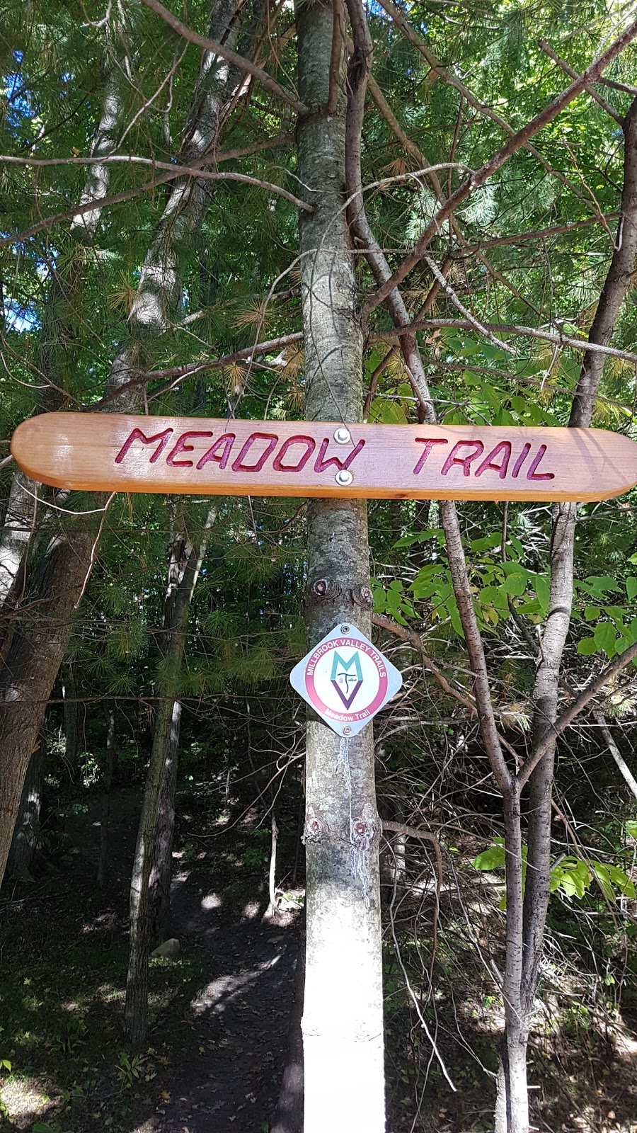 Meadow Trail Head - Elgar Dr | 409 Elgar Dr, Millbrook, ON L0A 1G0, Canada