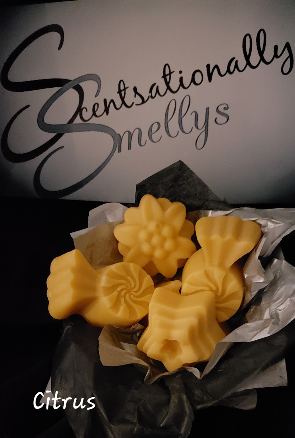 Scentsationally Smellys | 9020 Jim Bailey Rd #87, Kelowna, BC V5V1E5, Canada