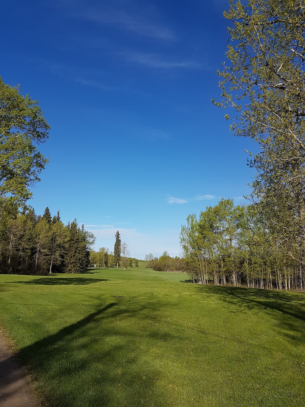 Whitewood RV Park | 53506 Range Rd 43, Lac Ste. Anne County, AB T0E 0J0, Canada | Phone: (780) 660-4653