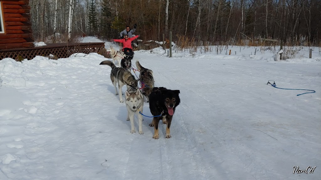 Harness Adventure Mushing Co. | Trans-Canada Hwy, Richer, MB R0E 1S0, Canada | Phone: (431) 232-3237