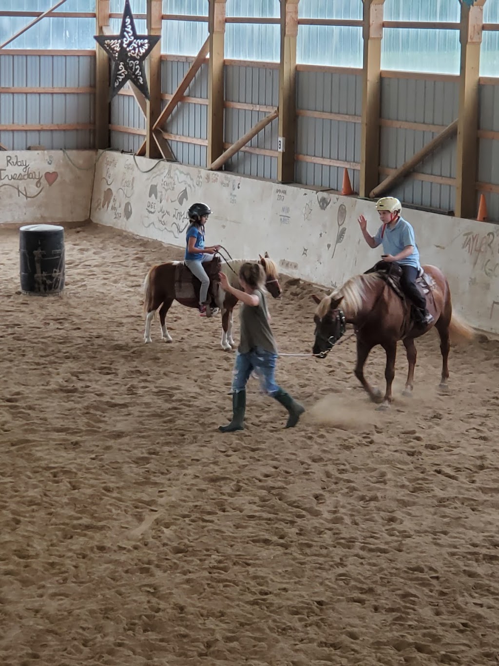 Heavens Gait | 2435 Elm Tree Rd, Lindsay, ON K9V 4R1, Canada | Phone: (705) 928-5227