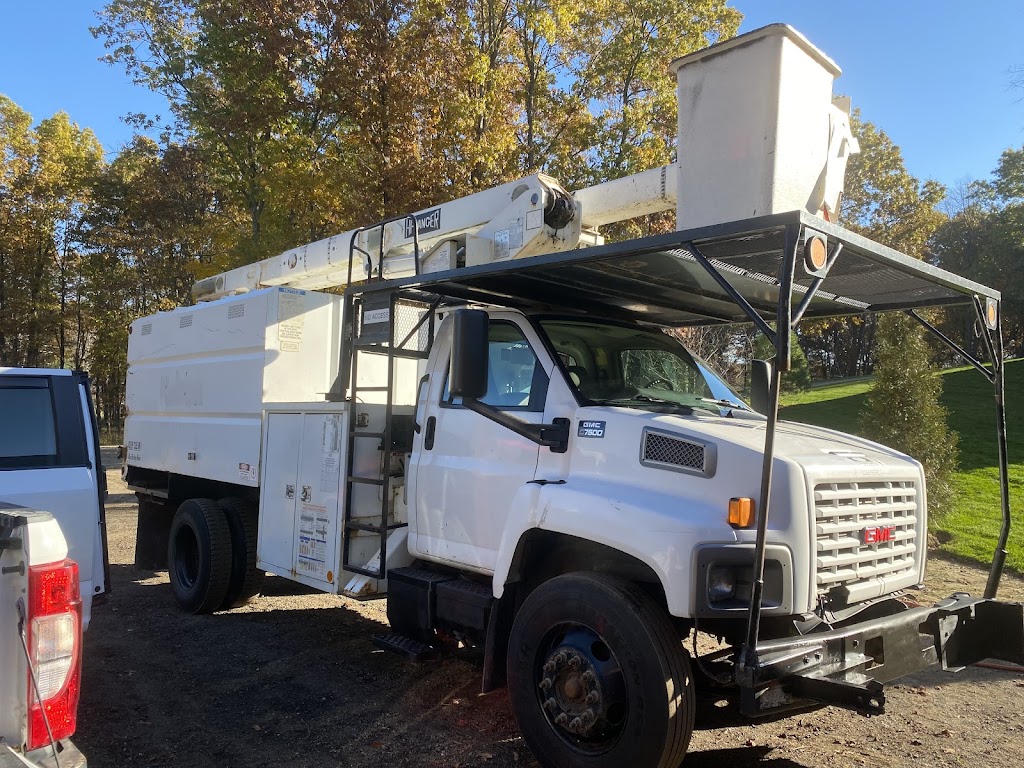 Bison Tree Service | 59071 Pleasant Rd 38E, Anola, MB R5L 0E7, Canada | Phone: (289) 683-5408