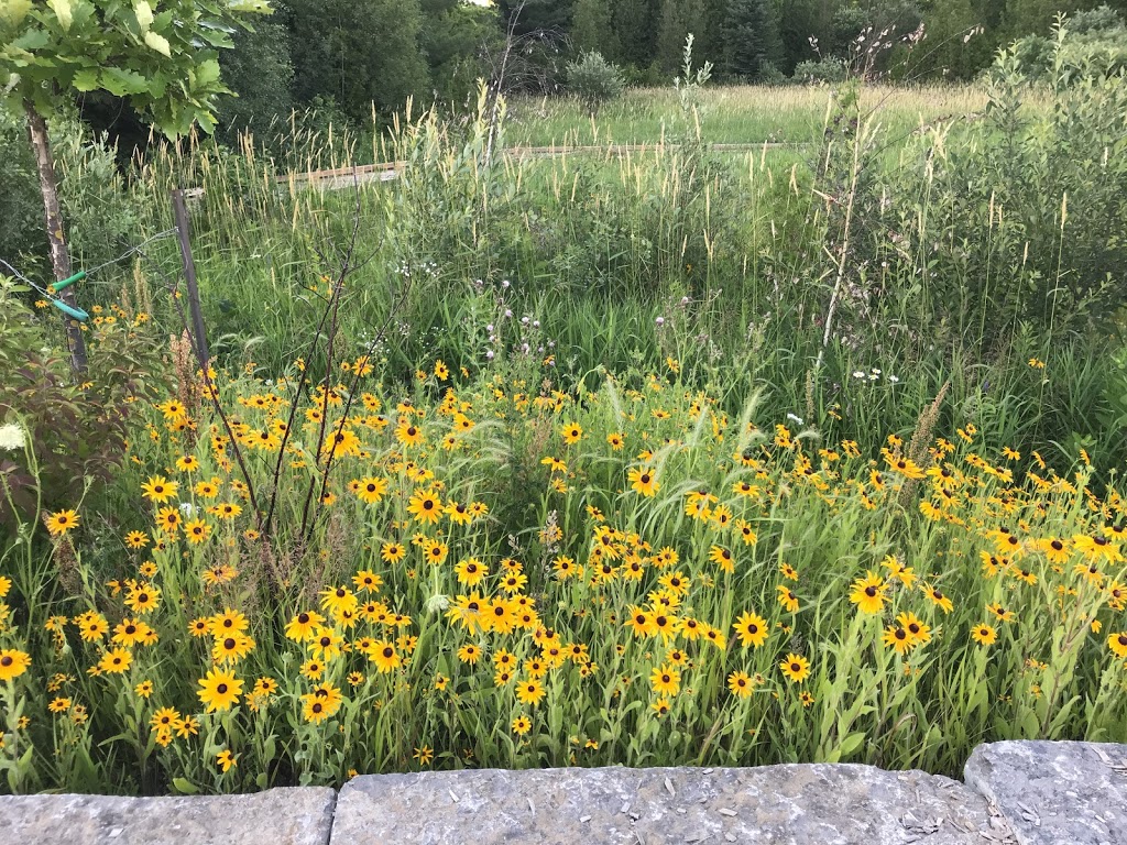Town Of Whitby Park | Promenade Dr, Whitby, ON L1R 0J8, Canada