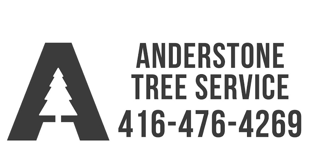 Anderstone Tree Service | 16656 Mississauga Rd, Terra Cotta, ON L7K 1L9, Canada | Phone: (416) 476-4269
