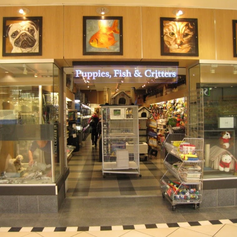 Puppies Fish & Critters | 7019 120 St, Delta, BC V4E 2A9, Canada | Phone: (604) 590-3727