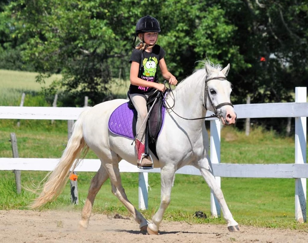 Double L Ranch Appaloosa | 209 Chemin St Patrice, Saint-Raymond, QC G3L 4J4, Canada | Phone: (418) 563-2136