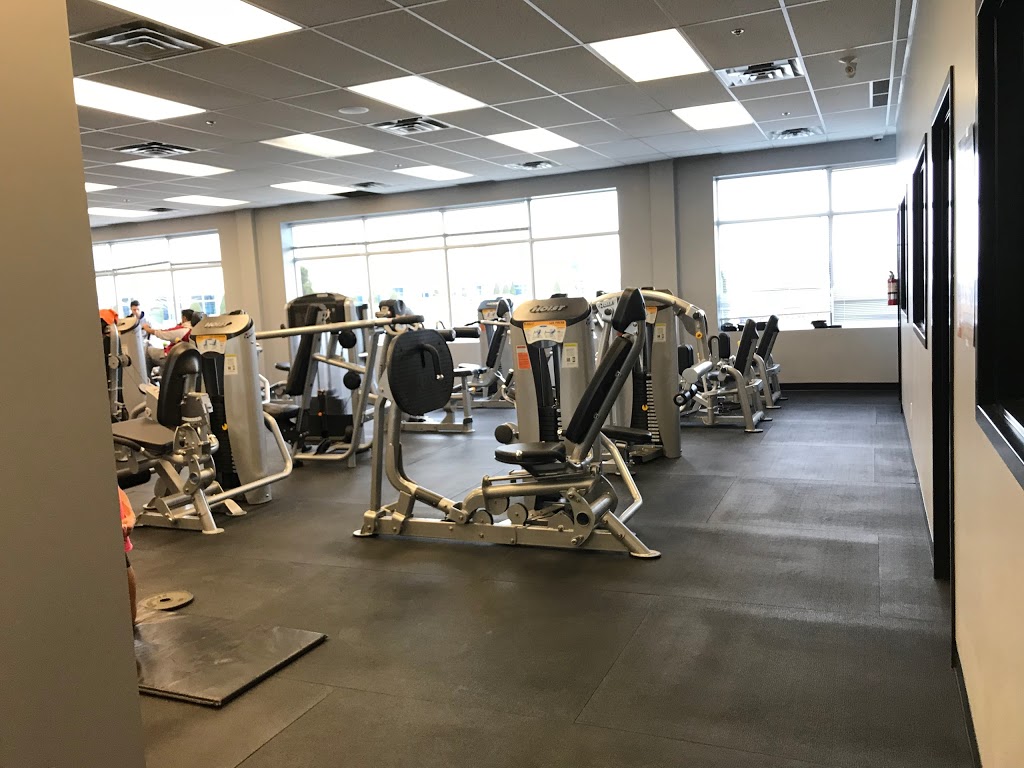 Kinetic Life | 3450 Ridgeway Dr Unit #17, Mississauga, ON L5L 0A2, Canada | Phone: (905) 569-0444