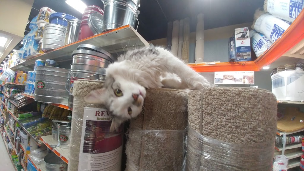 Aubuchon Hardware | 145 1st St, Swanton, VT 05488, USA | Phone: (802) 868-7884