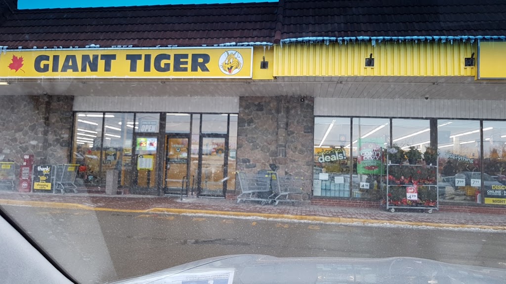 Giant Tiger | 20875 Dalton Rd, Sutton, ON L0E 1R0, Canada | Phone: (905) 722-8099