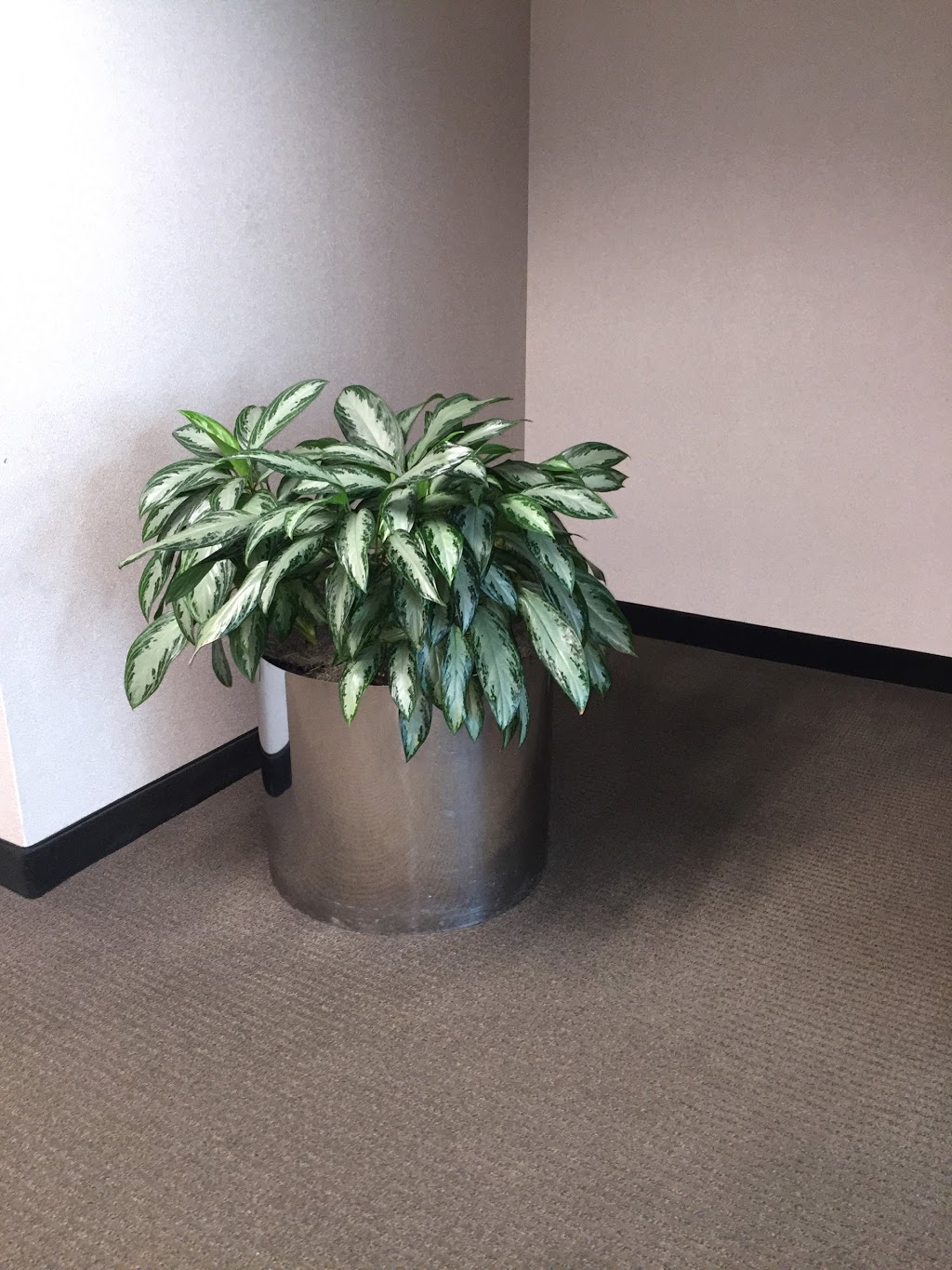 Carpet binding by Barbara | 1361, 4095 Pointe Tremble Rd, Algonac, MI 48001, USA | Phone: (810) 580-9024