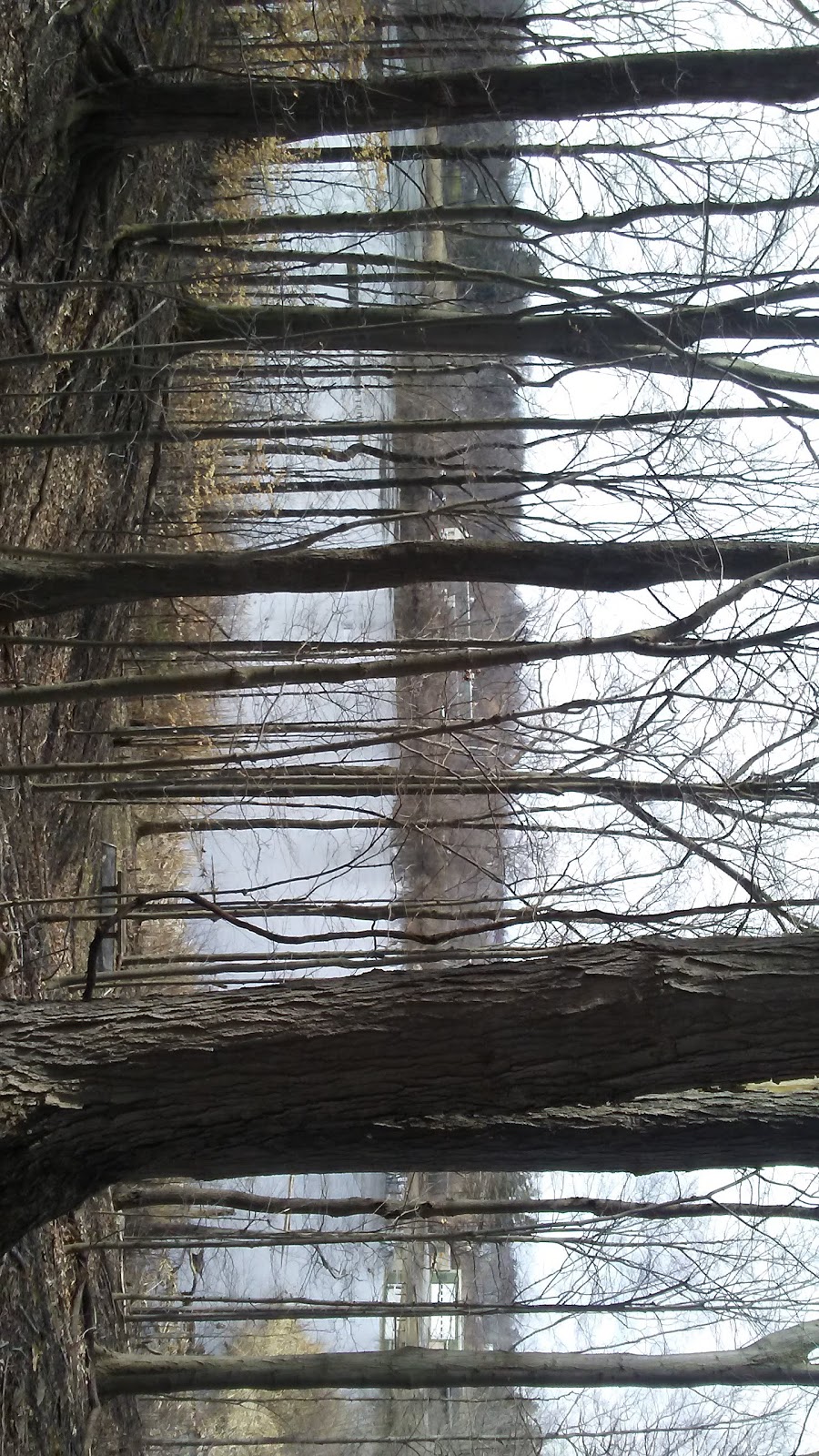 Sinking Pond Wildlife Sanctuary | East Aurora, NY 14052, USA