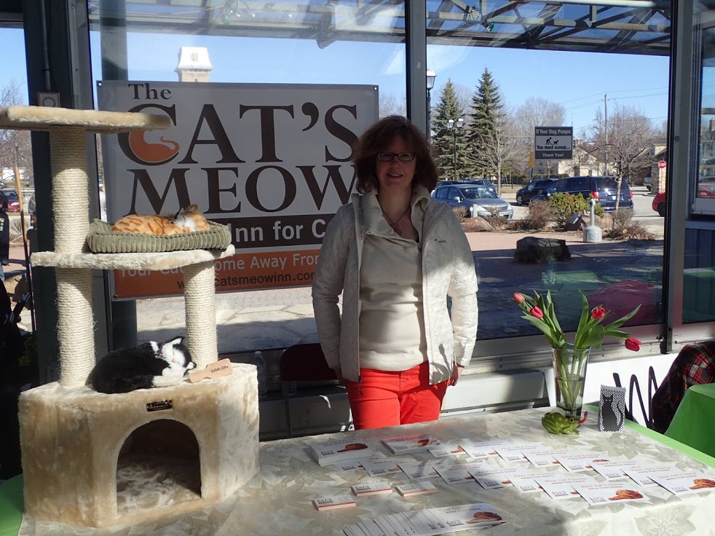 The Cats Meow Inn | 20619 Hwy 7, Maberly, ON K0H 2B0, Canada | Phone: (613) 268-2004