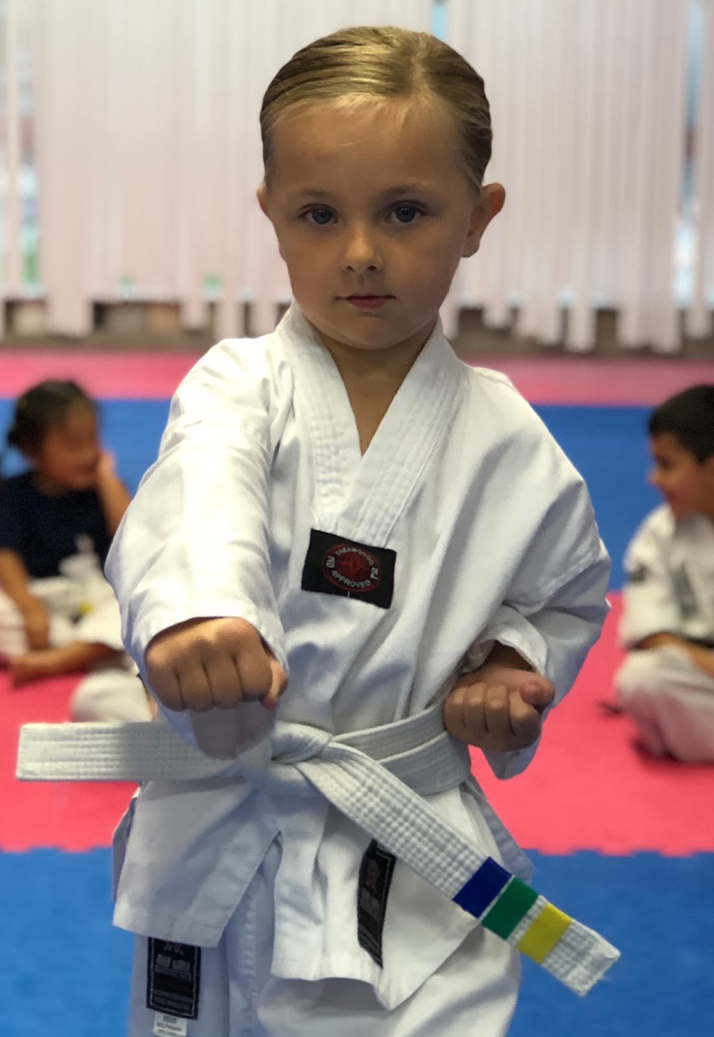 Martial art one | 6182 Dixon St, Niagara Falls, ON L2G 2L6, Canada | Phone: (905) 357-7770